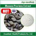 Natural Plant Mucuna Pruriens Extract Levodopa 10-98%